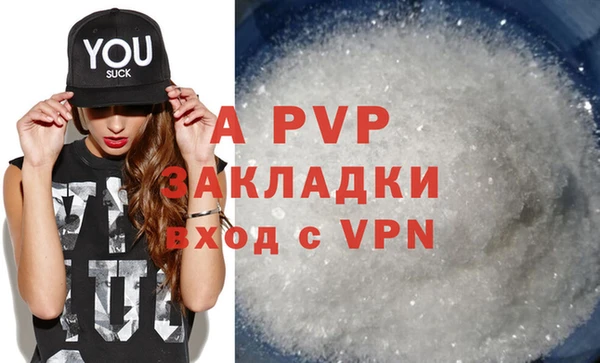 метадон Богданович