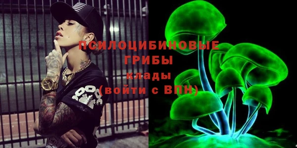 Альфа ПВП Богородицк