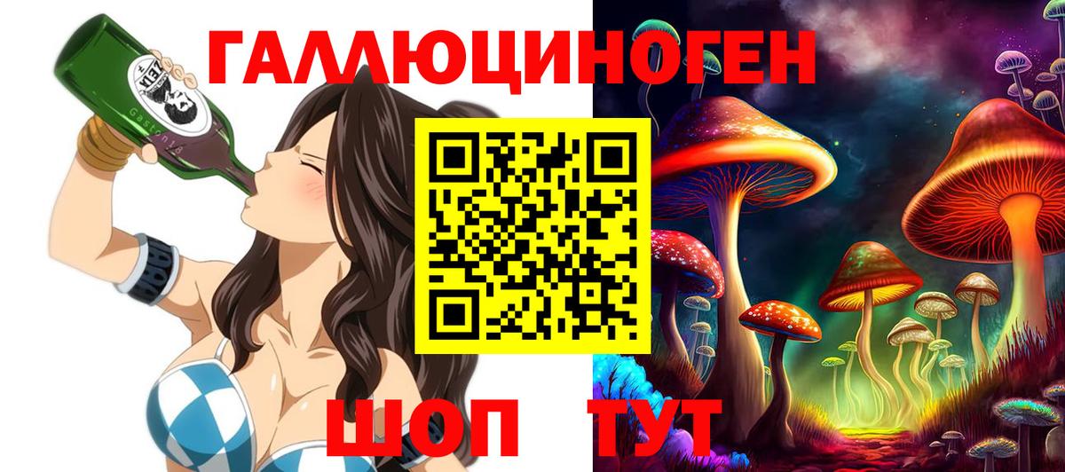 Псилоцибиновые грибы GOLDEN TEACHER Дагестанские Огни